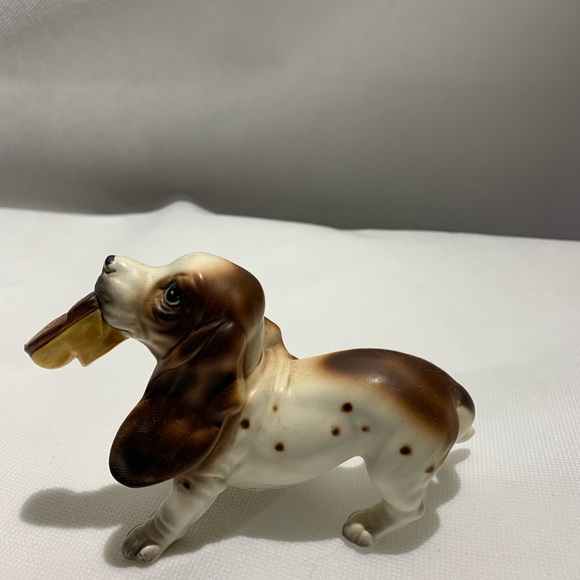 dog Other - Shoe dog